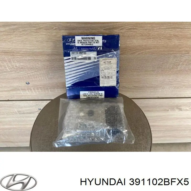 391102BFX5 Hyundai/Kia Centralina Del Motor