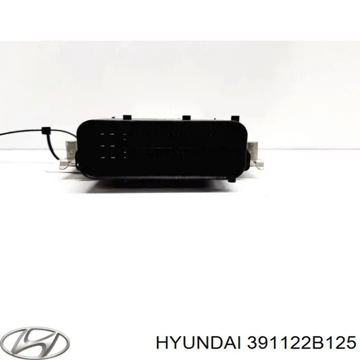 Unidad de control del motor  Hyundai/Kia 391122B125 precio, desde 153,91 EUR
