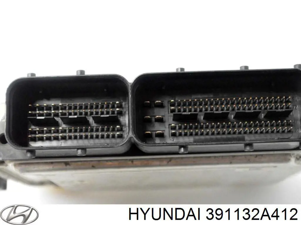 391132A412 Hyundai/Kia