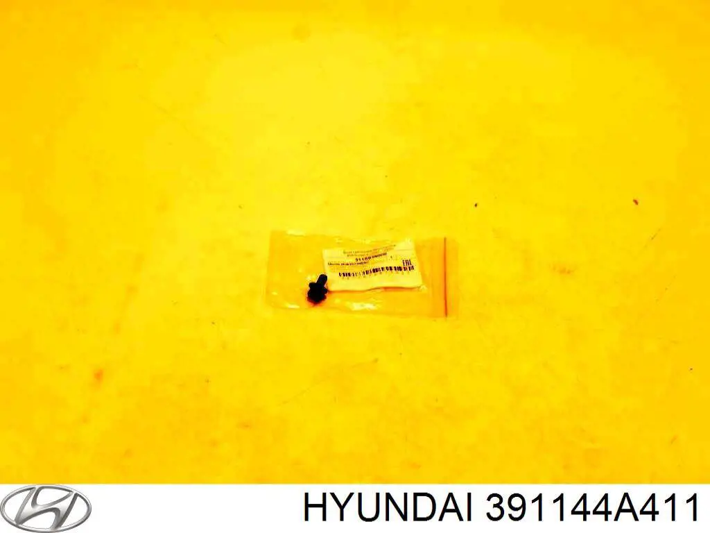 391144A411 Hyundai/Kia centralina del motor / modulo de control del motor (ecu)