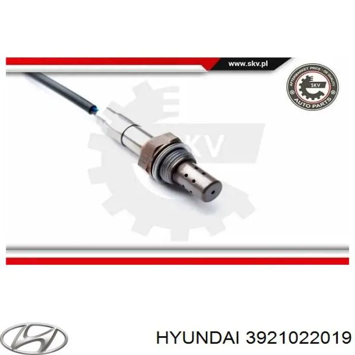 Sonda de oxígeno Hyundai/Kia 3921022019 precio, desde 37,53 EUR