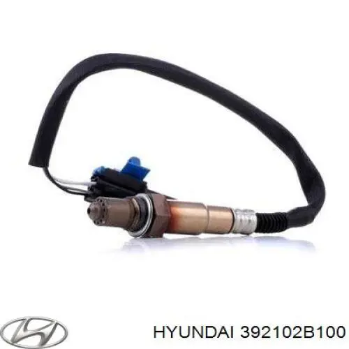 Sensor de oxígeno previo al catalizador Hyundai/Kia 392102B100 precio, desde 53,68 EUR