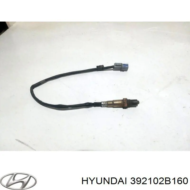 Comprar 392102B160 Hyundai/Kia Sensor NOx