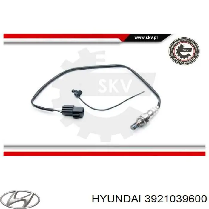 3921039600 Hyundai/Kia