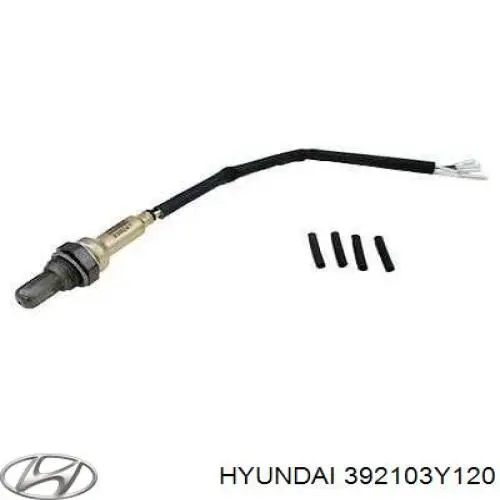 392103Y120 Hyundai/Kia