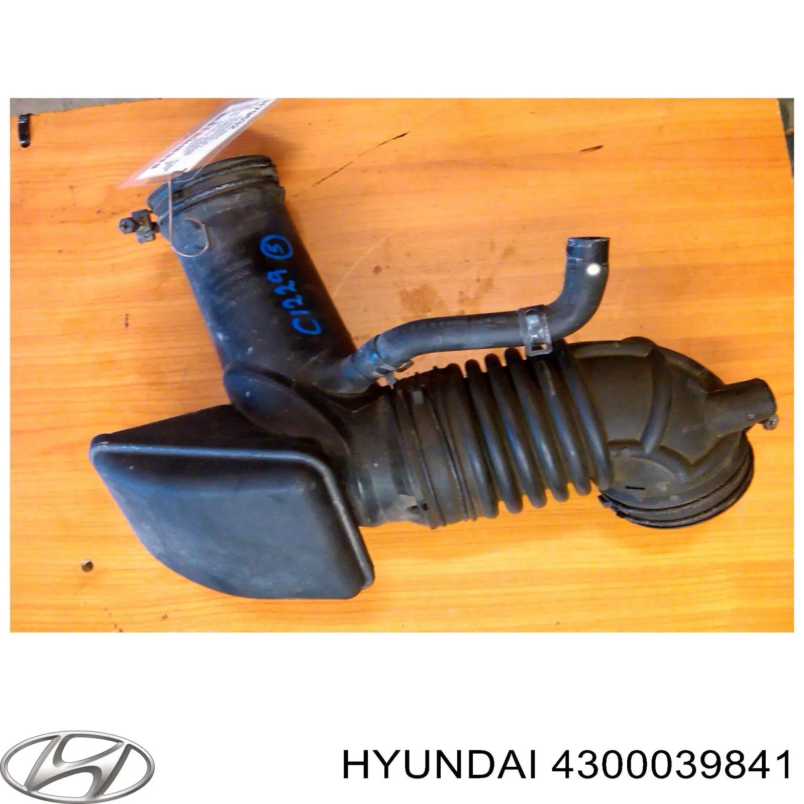 4300039840 Hyundai/Kia caja de cambios mecánica, completa