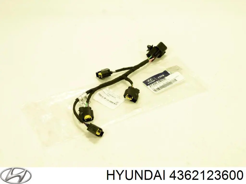 4362123600 Hyundai/Kia