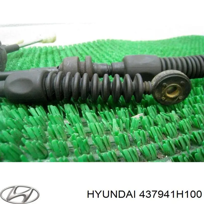 437941H100 Hyundai/Kia