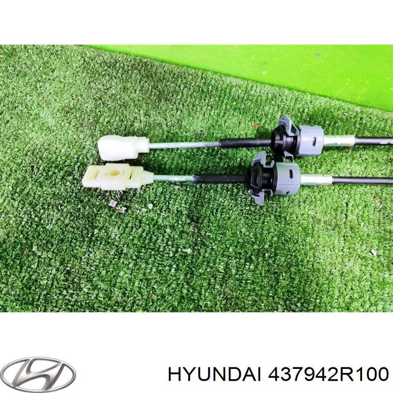 437942R100 Hyundai/Kia