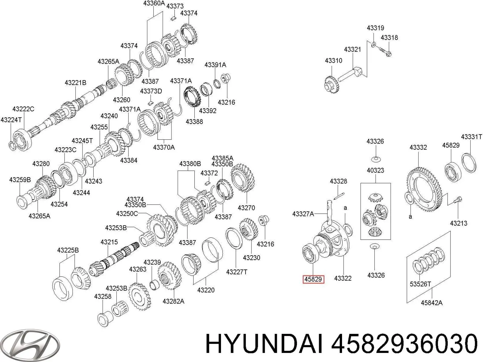 Cojinete de la transmisión para Hyundai Accent 
