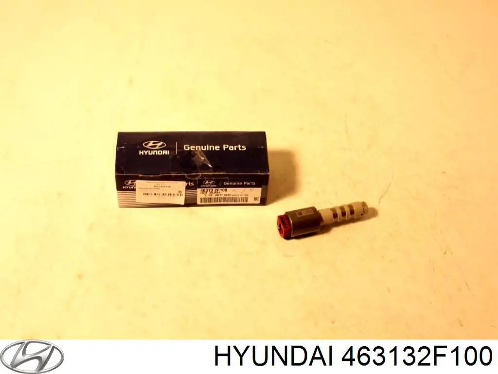 463132F100 Hyundai/Kia