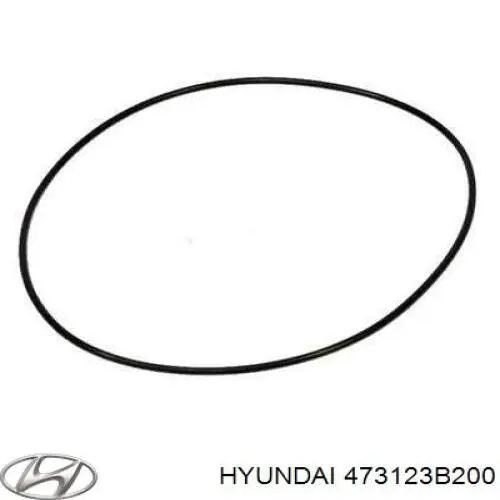  473123B200 Hyundai/Kia