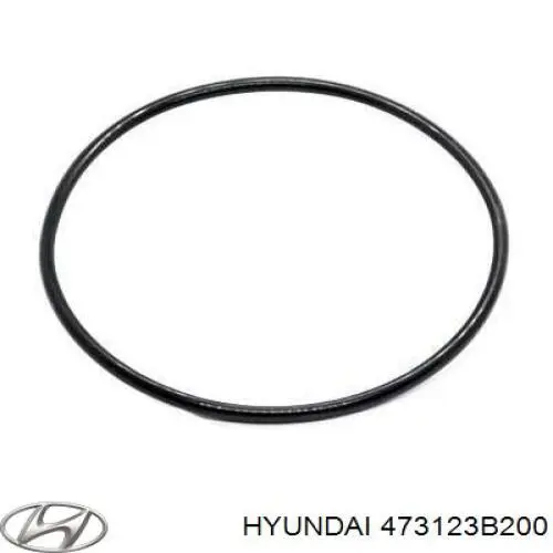  Hyundai/Kia 473123B200 precio, desde 100,66 EUR