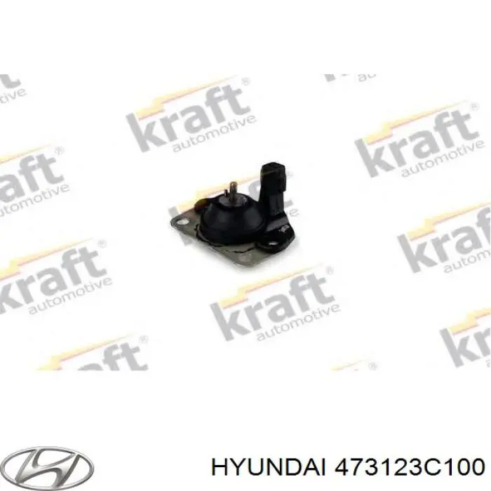 473123C100 Hyundai/Kia