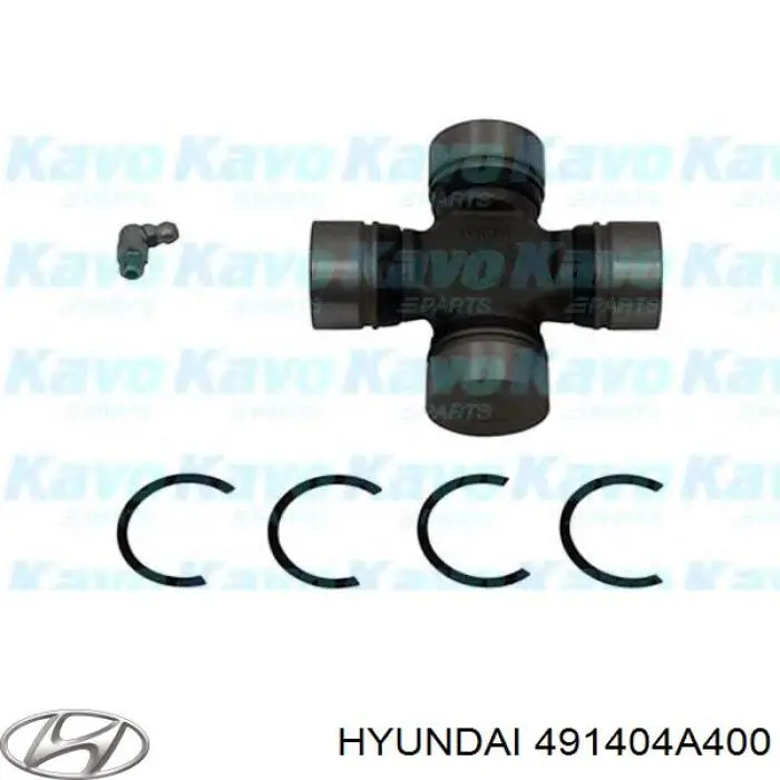 Cruceta transmision para Hyundai Terracan  HP