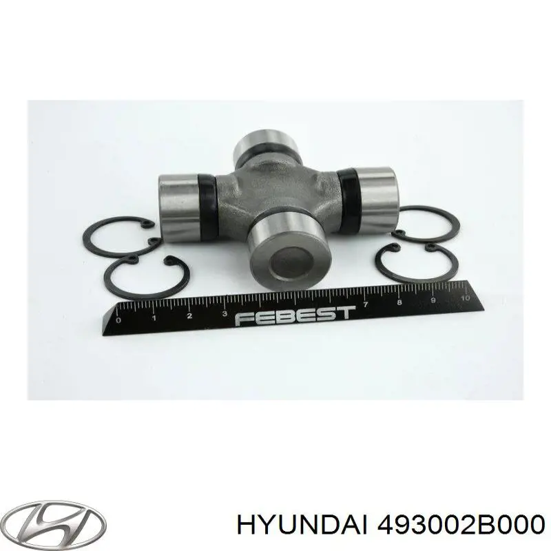 493002B000 Hyundai/Kia