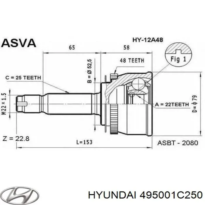 495001C250 Hyundai/Kia junta homocinética exterior delantera