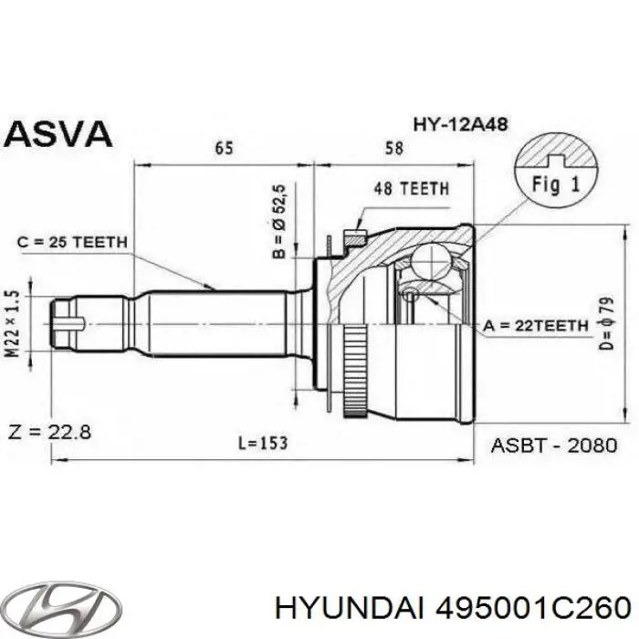 495001C260 Hyundai/Kia árbol de transmisión trasero derecho