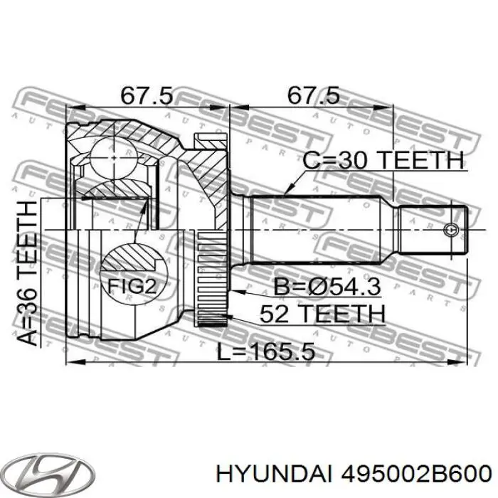 XX495002B600 Market (OEM)