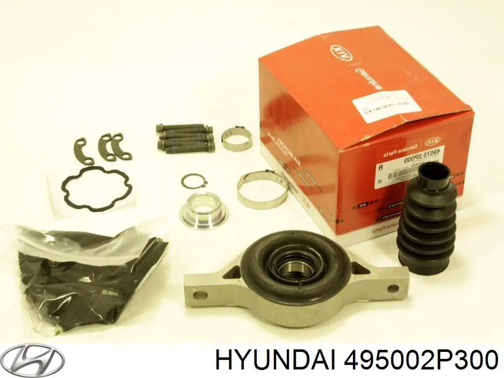 495002P300 Hyundai/Kia