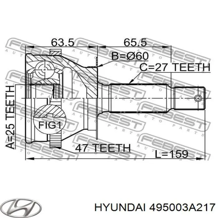 Comprar 495003A217 Hyundai/Kia Junta homocinetica