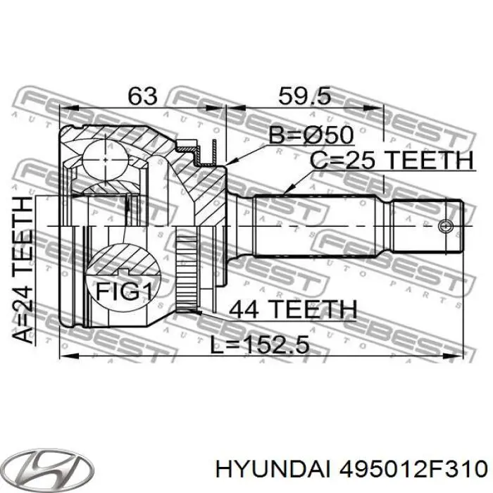 XX495012F310 Market (OEM)