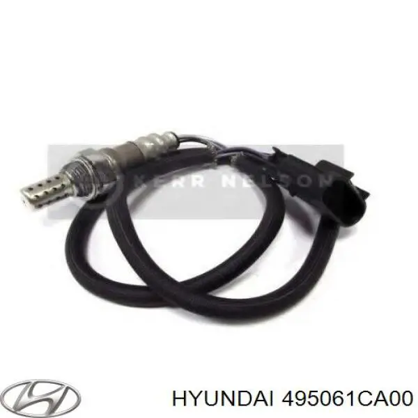 Fuelle de semieje delantero interior 495061CA00 Hyundai/Kia