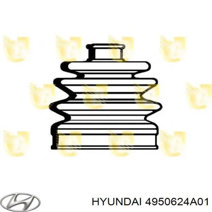 Fuelle, palier delantero exterior Hyundai/Kia 4950624A01 precio, desde 9,54 EUR