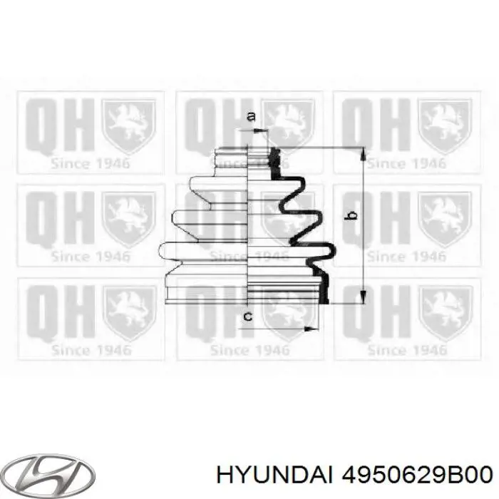 Fuelle, palier delantero exterior Hyundai/Kia 4950629B00 precio, desde 9,57 EUR