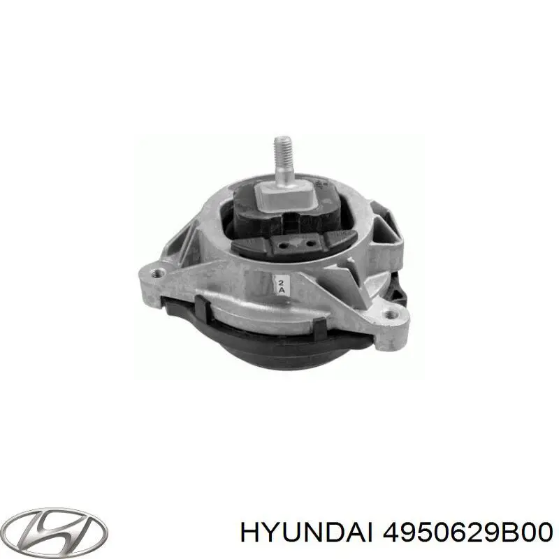 4950629B00 Hyundai/Kia Fuelle transmisión delantero exterior