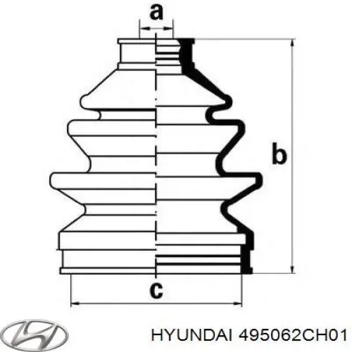 495062CH01 Hyundai/Kia