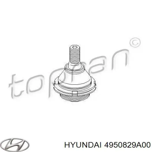 Comprar 4950828K00 Hyundai/Kia Junta homocinetica