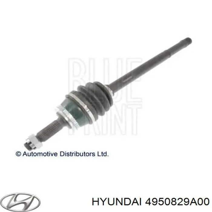 Junta homocinetica 4950828K00 Hyundai/Kia