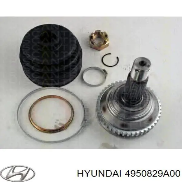 Junta homocinética exterior delantera Hyundai/Kia 4950828K00 precio, desde 36,00 EUR