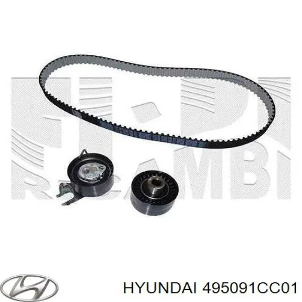 Fuelle de palier delantero exterior 495091CC01 Hyundai/Kia