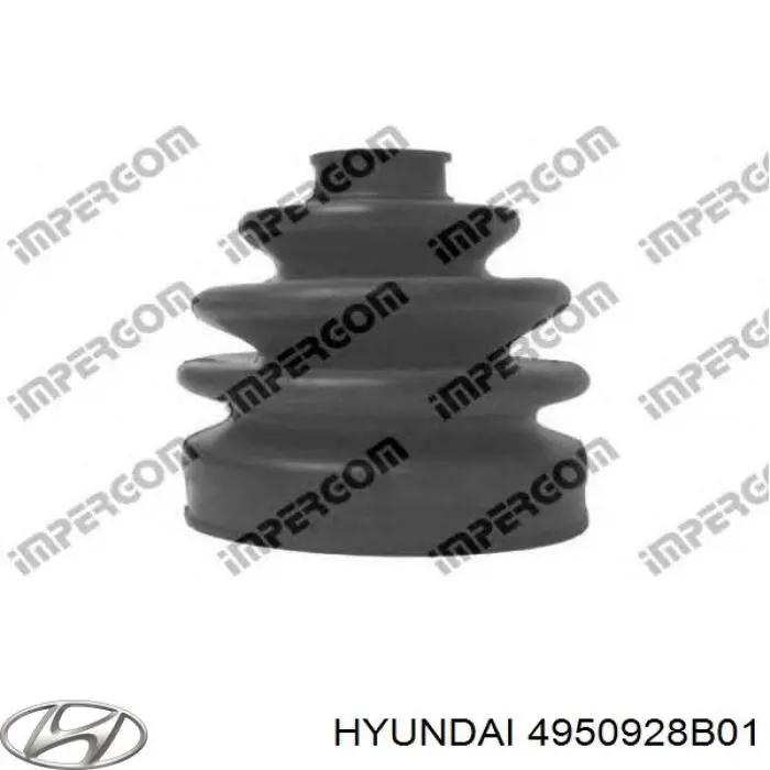 Fuelle, palier delantero exterior Hyundai/Kia 4950928B01 precio, desde 9,57 EUR