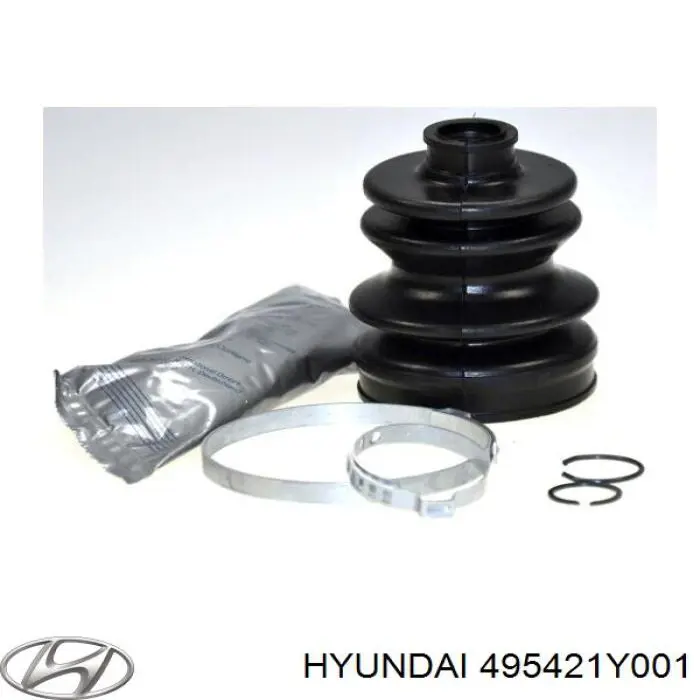 495421Y001 Hyundai/Kia