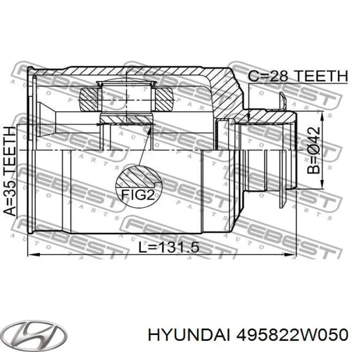 Junta homocinética interna delantera derecha Hyundai/Kia 495822W050 precio, desde 79,79 EUR