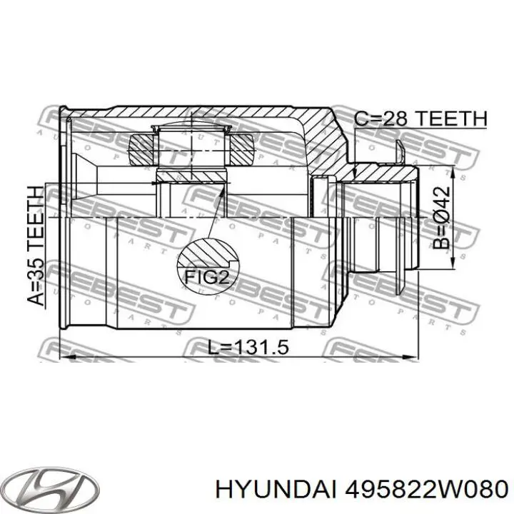 HK495822W080 Market (OEM)