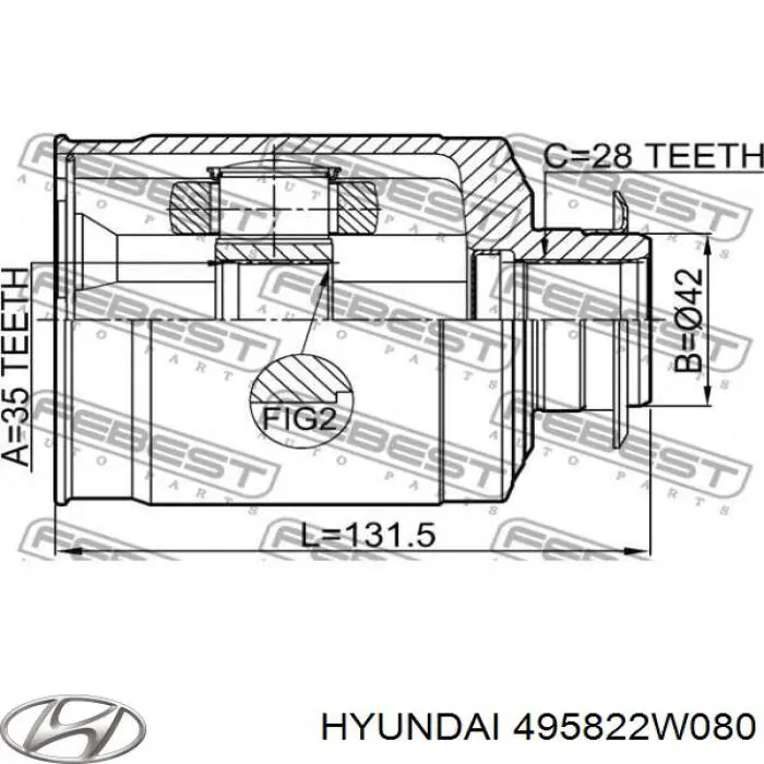 Comprar 495822W080 Hyundai/Kia Junta homocinética interna delantera derecha