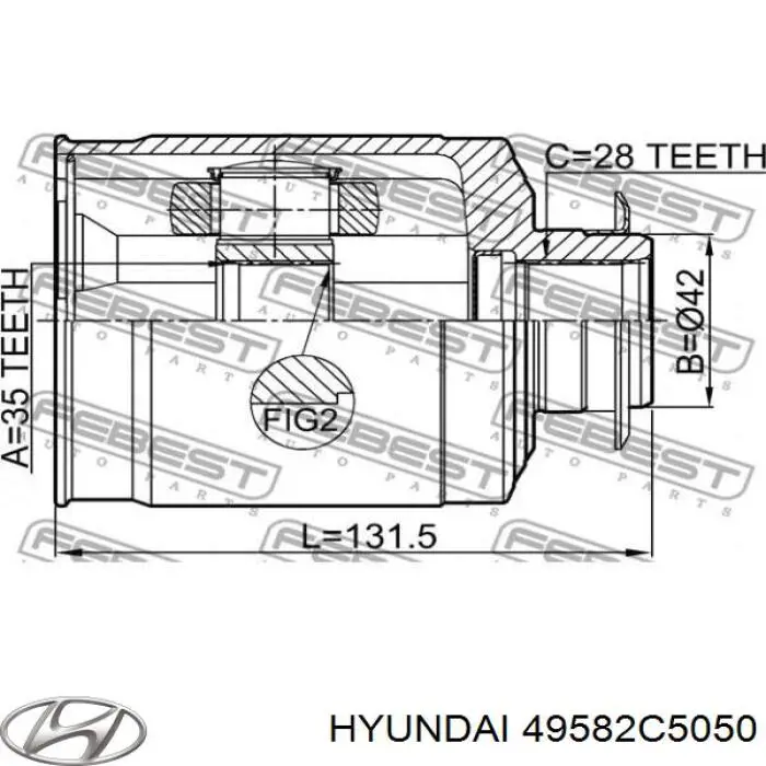 49582C5050 Hyundai/Kia