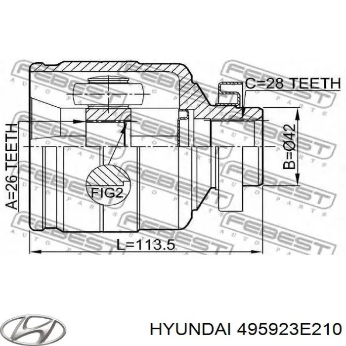 495923E210 Hyundai/Kia junta homocinética interior delantera derecha