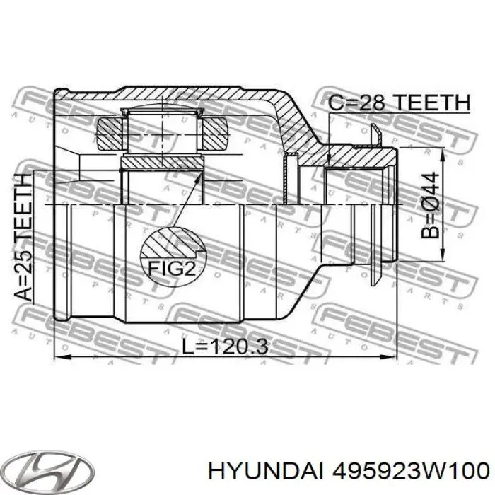 495923W100 Hyundai/Kia junta homocinética interior delantera derecha