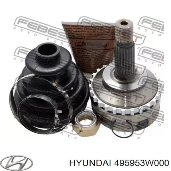 495953W000 Hyundai/Kia