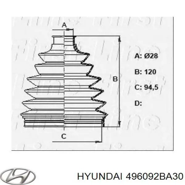 Fuelle semieje delantero exterior Hyundai/Kia 496092BA30