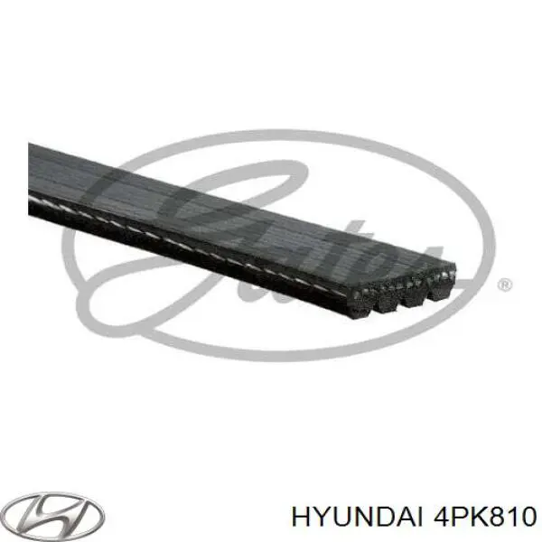 4PK810 Hyundai/Kia correa trapezoidal