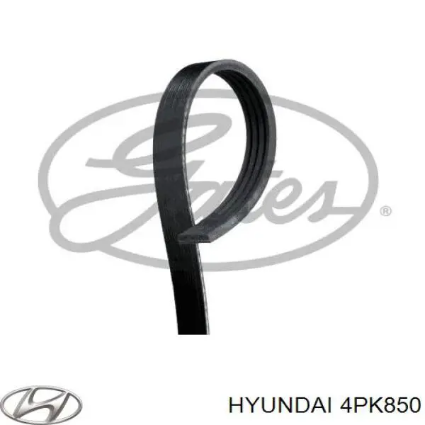 4PK850 Hyundai/Kia correa trapezoidal