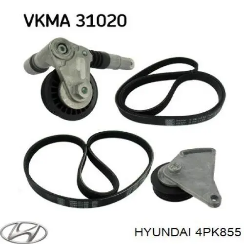 4PK855 Hyundai/Kia correa trapezoidal