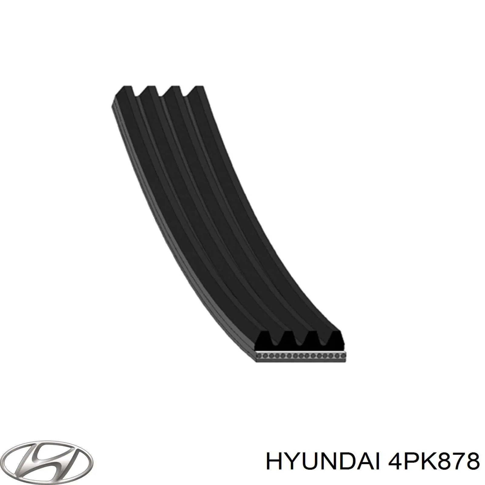 4PK878 Hyundai/Kia correa trapezoidal