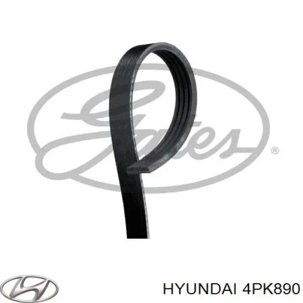 4PK890 Hyundai/Kia correa trapezoidal